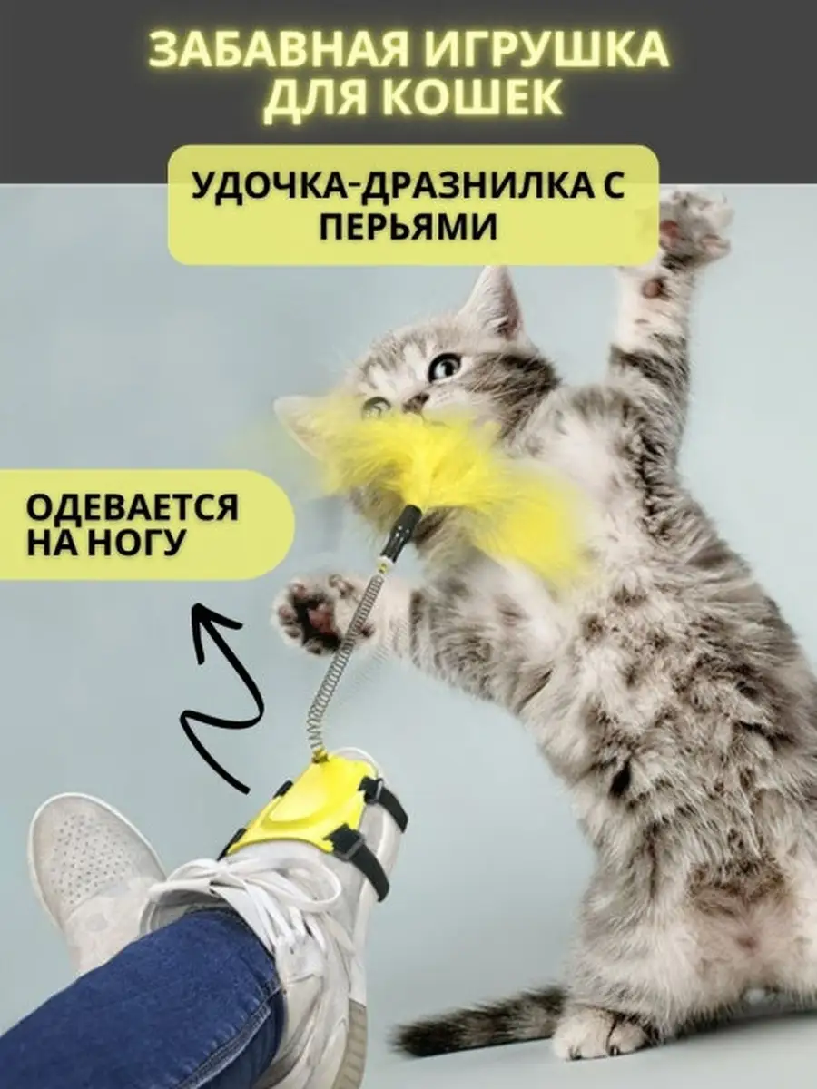 Это интересно: Малоизвестные подробности о домашних кошках