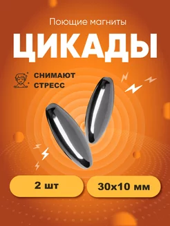 Поющие магниты цикады 30х10 мм, овал Forceberg 27967064 купить за 229 ₽ в интернет-магазине Wildberries