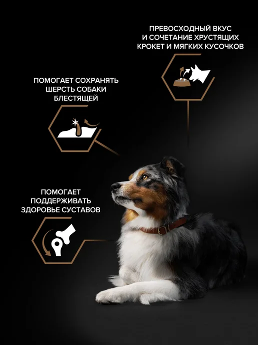 Сухой корм PRO PLAN для собак, крупные, средние, говядина, 2,5 кг, фото 3