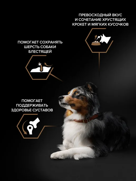 Сухой корм PRO PLAN для собак, крупные, средние, говядина, 10 кг, фото 3