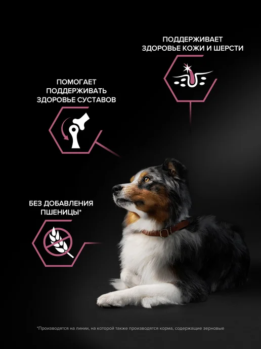 Сухой корм PRO PLAN для собак, средние, лосось, 14 кг, фото 3
