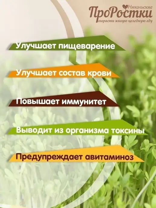 Никольские ПроРостки Семена кресс-салата для микрозелени, 100 г, 100 г, фото 2