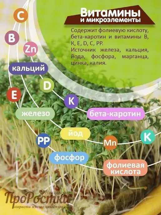 Никольские ПроРостки Семена кресс-салата для микрозелени, 100 г, 100 г, фото 3