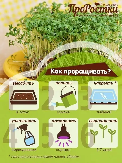 Никольские ПроРостки Семена кресс-салата для микрозелени, 100 г, 100 г, фото 5