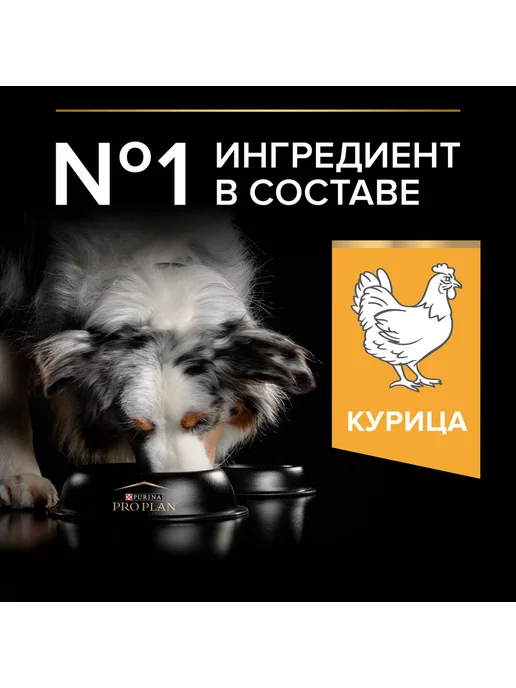 Сухой корм PRO PLAN для собак, взрослые, средние, курица, 3 кг, фото 5