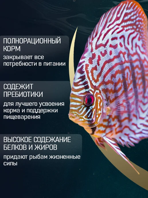 TETRA Energy Multi-Crisps корм для рыб аквариумных 500 мл, чипсы, 500 мл, фото 3