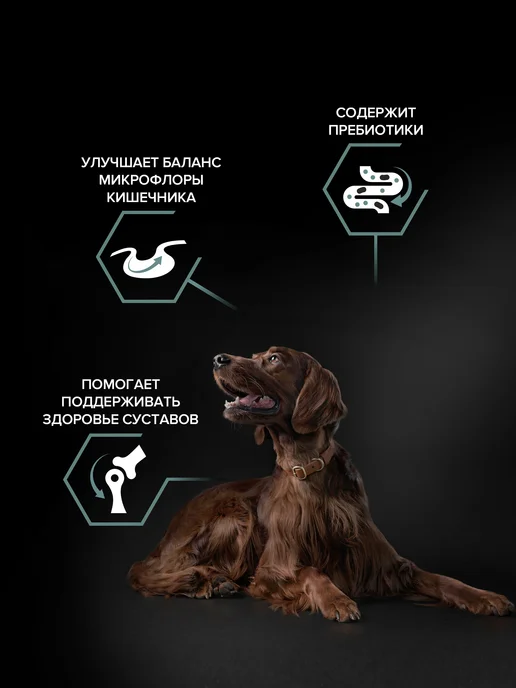 Сухой корм PRO PLAN для собак, взрослые, крупные, ягненок, 14 кг, фото 3