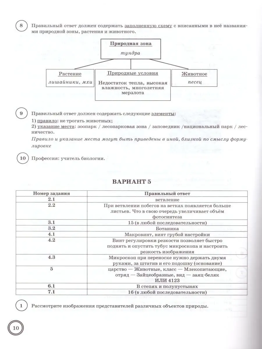 ВПР Биология 5 класс. 10 типовых вариантов. ФИОКО. СТАТГРАД Экзамен  28246985 купить в интернет-магазине Wildberries