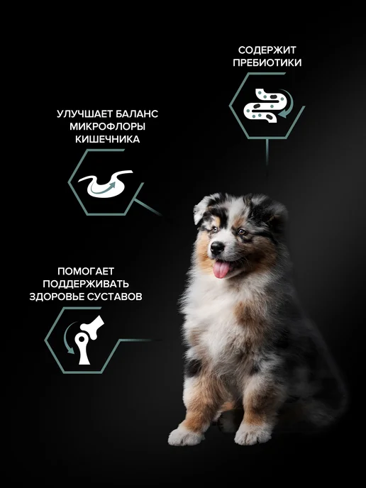Сухой корм PRO PLAN Пород. Пищеварения для собак, средние, щенки, 1,5 кг, фото 3