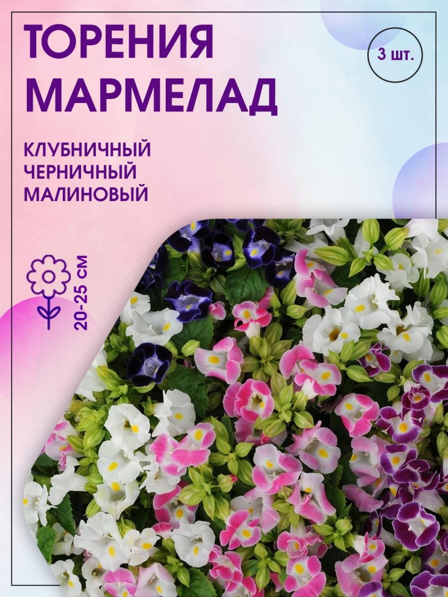 Торения мармелад