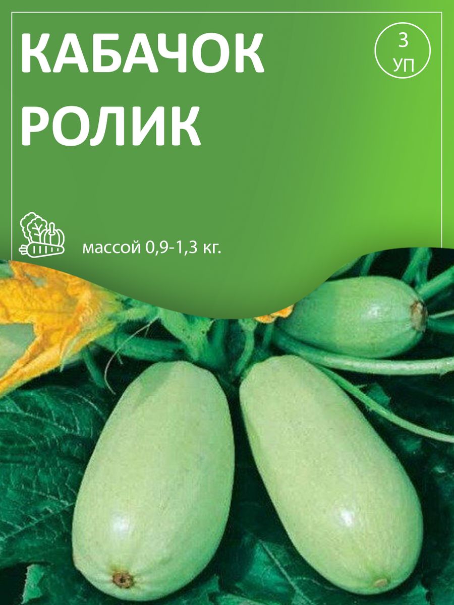 Кабачки ролик описание фото отзывы. Кабачок ролик. Семена кабачок ролик Agroni. Кабачок ролик описание сорта фото отзывы.