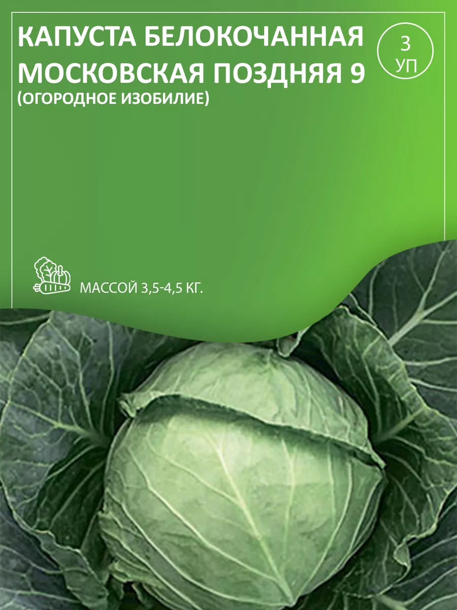 Капуста белокочанная Московская поздняя 9(Огор.изобилие) 3уп Агрохолдинг  Поиск 28285791 купить в интернет-магазине Wildberries