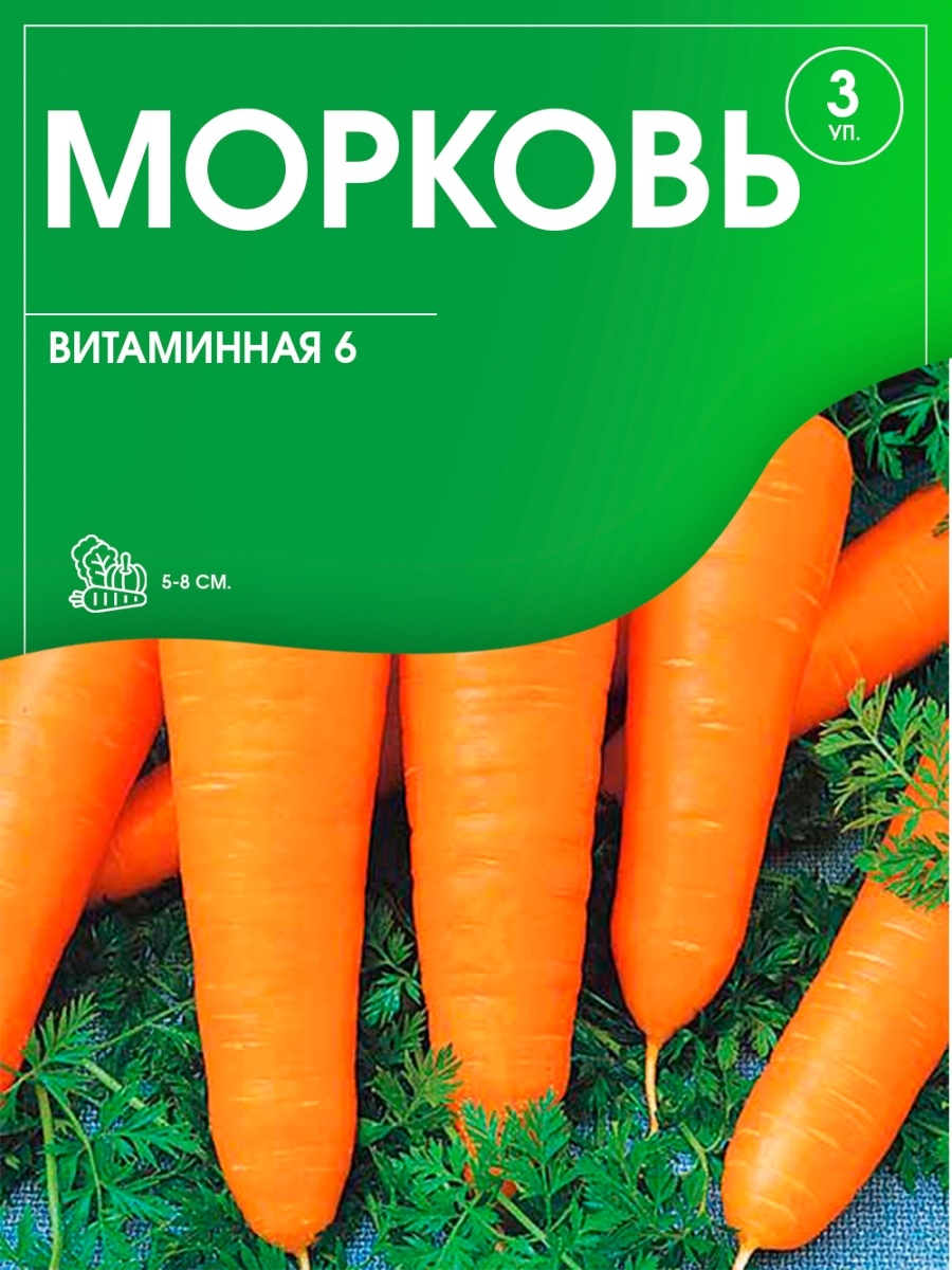 Морковь витаминная отзывы фото. Морковь Берликум рочл.