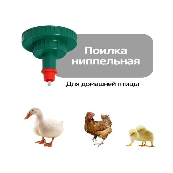 Поилка для кур ниппельная под бутылку