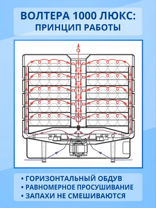 волтера Сушилка 1000 Люкс с таймером, белый, фото 4