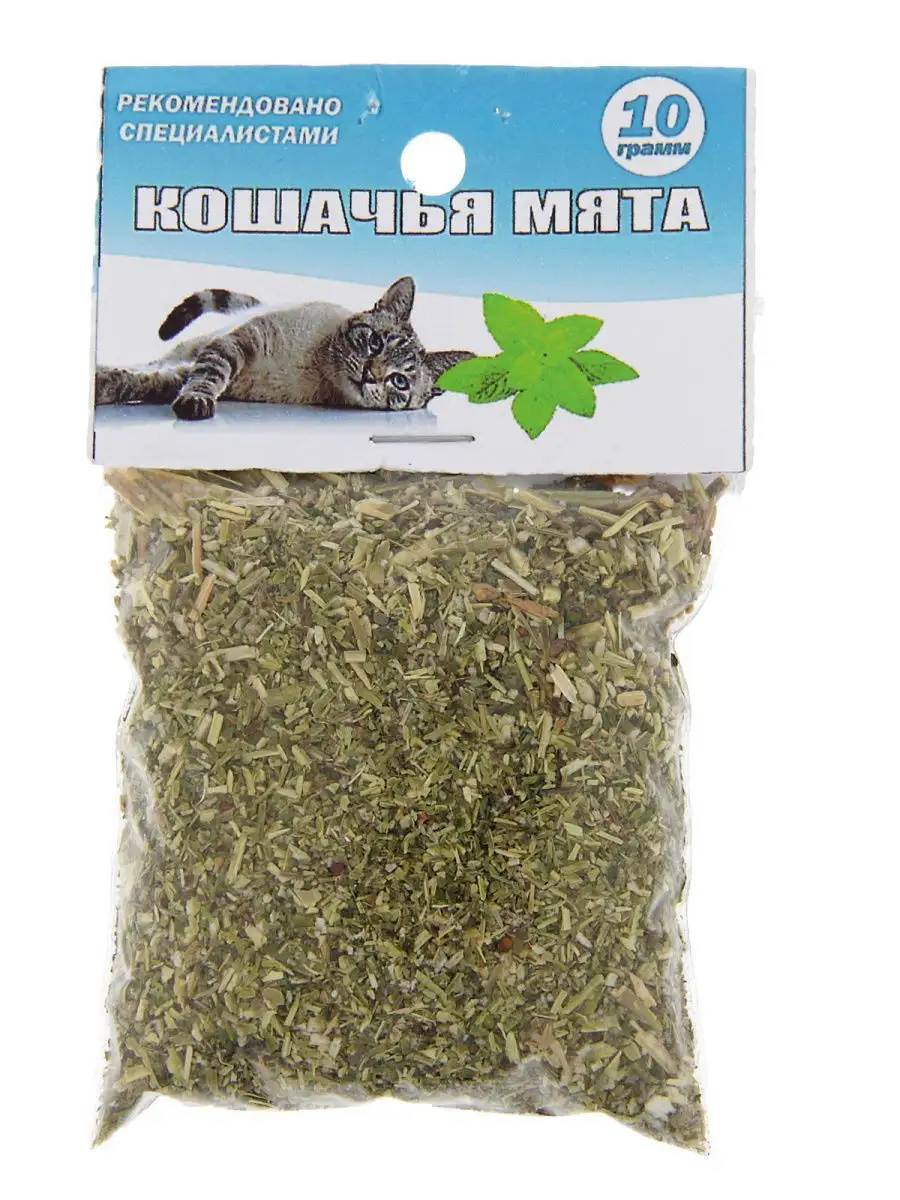Котовник кошачья мята. Упаковка кошачьей мяты. Котовник кошачья мята. Деревенские лакомства кошачья мята 15 гр. Деревенские лакомства для кошек кошачья мята 15 гр 79711458.