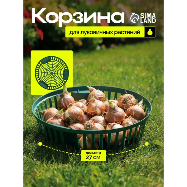 Корзинка для луковичных, круглая, d 27 см, h = 6 см