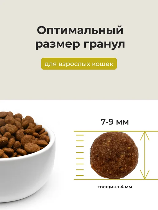 Сухой корм ALMO NATURE Кошек Life для собак, индейка, 2 кг, фото 3