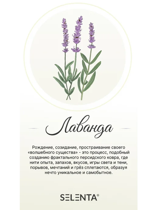 Selenta Эфирное масло Лаванды Водорастворимое 30мл, 30 мл, фото 4