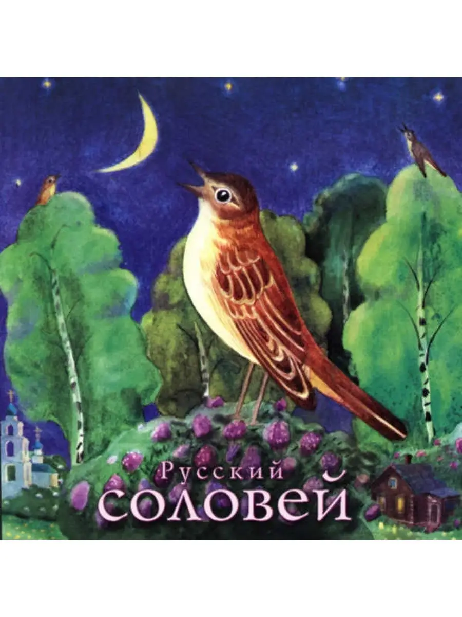 Песня соловья ремикс. Соловей в живописи. Соловей иллюстрация. Иллюстрация к сказке Соловей. Русский Соловей