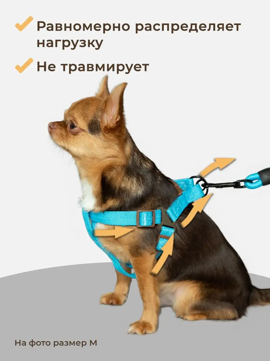 Шлейка для собак и кошек MiloPets 28638595 купить в интернет-магазине  Wildberries