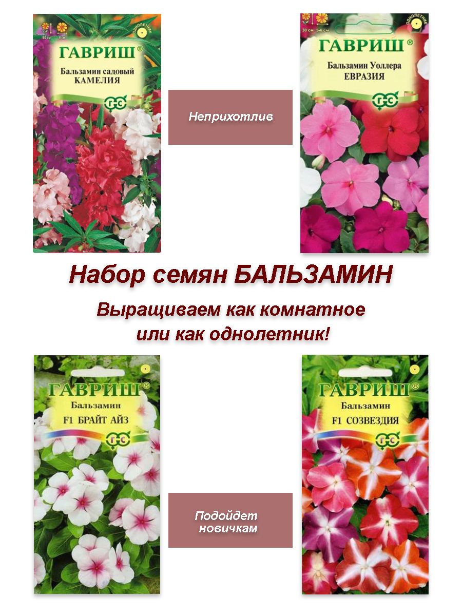 Набор семян, семена комнатных цветов бальзамин, 4 шт Гавриш 28641775 купить  в интернет-магазине Wildberries