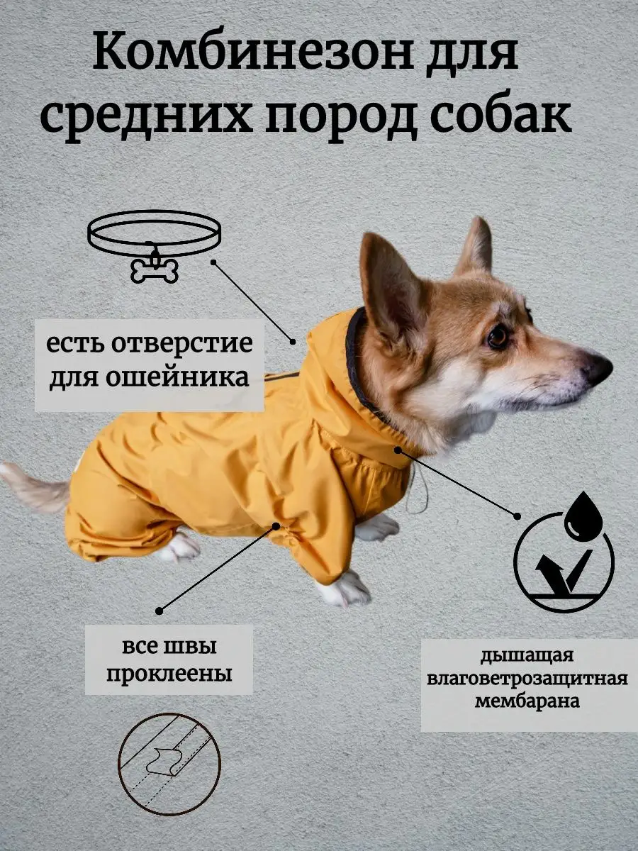 Комбинезон для средних пород собак/сука SALOP DOG 28771375 купить за 2 378  ₽ в интернет-магазине Wildberries